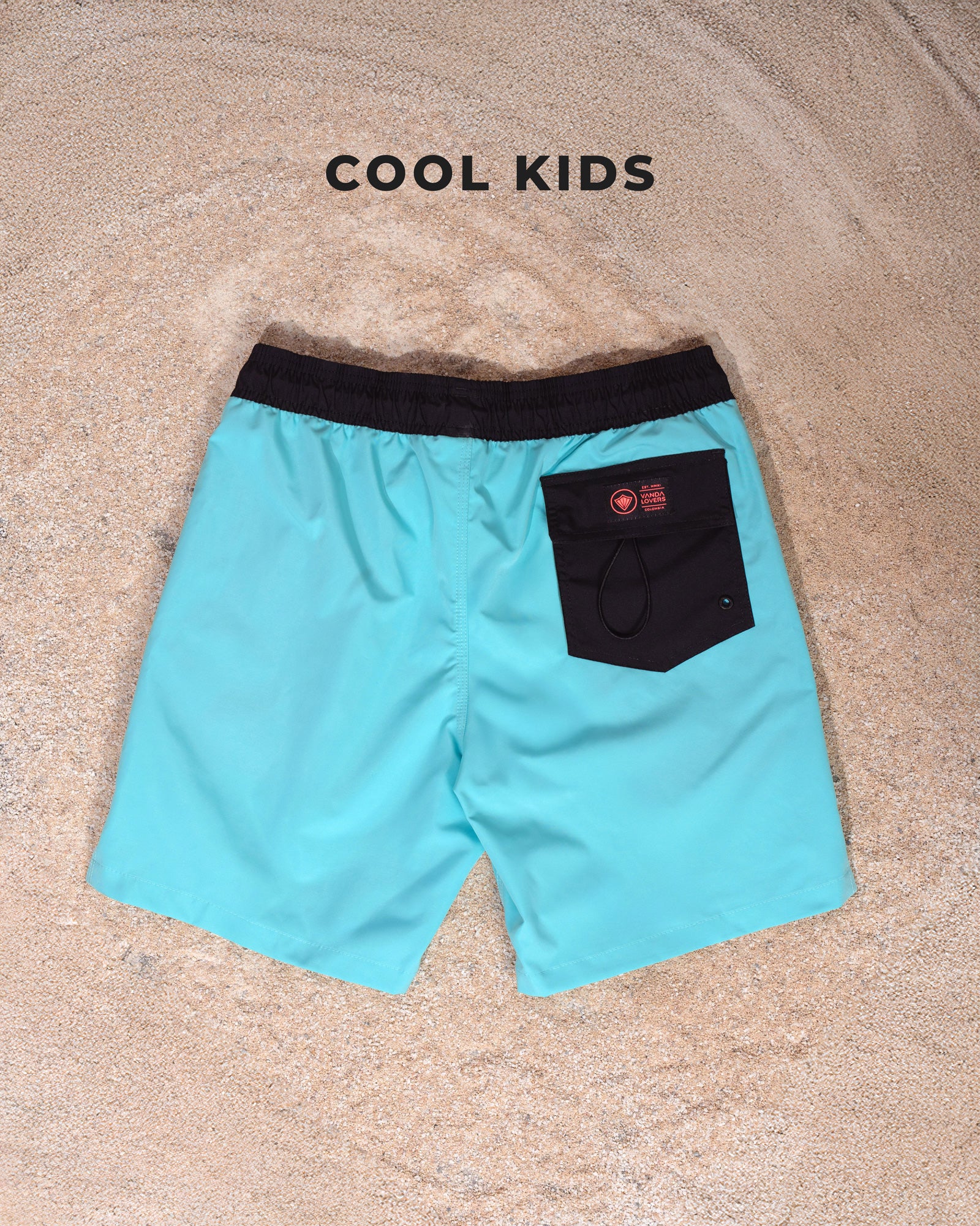 Pantaloneta Niño Icon Shark Aqua